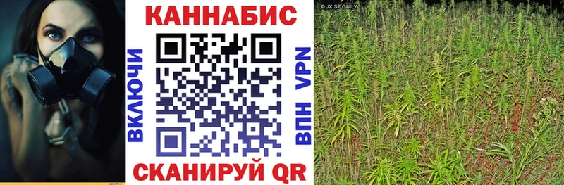 Где купить Нововоронеж Метамфетамин  Меф мяу мяу 