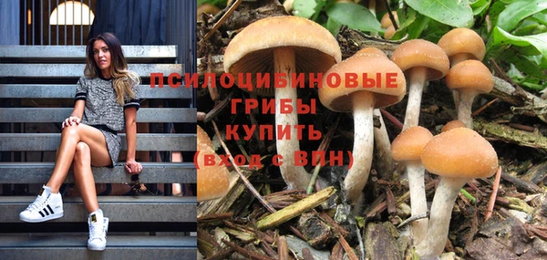 каннабис Алексеевка