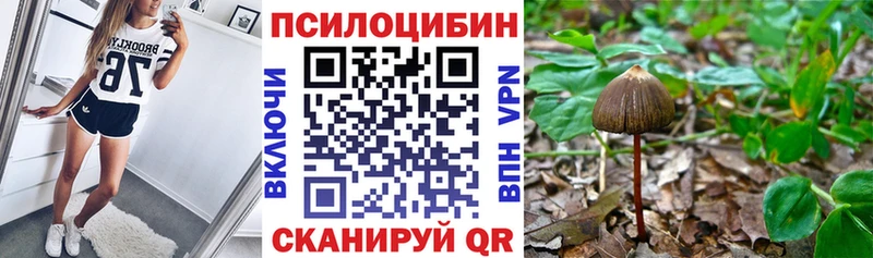 Галлюциногенные грибы GOLDEN TEACHER Нововоронеж
